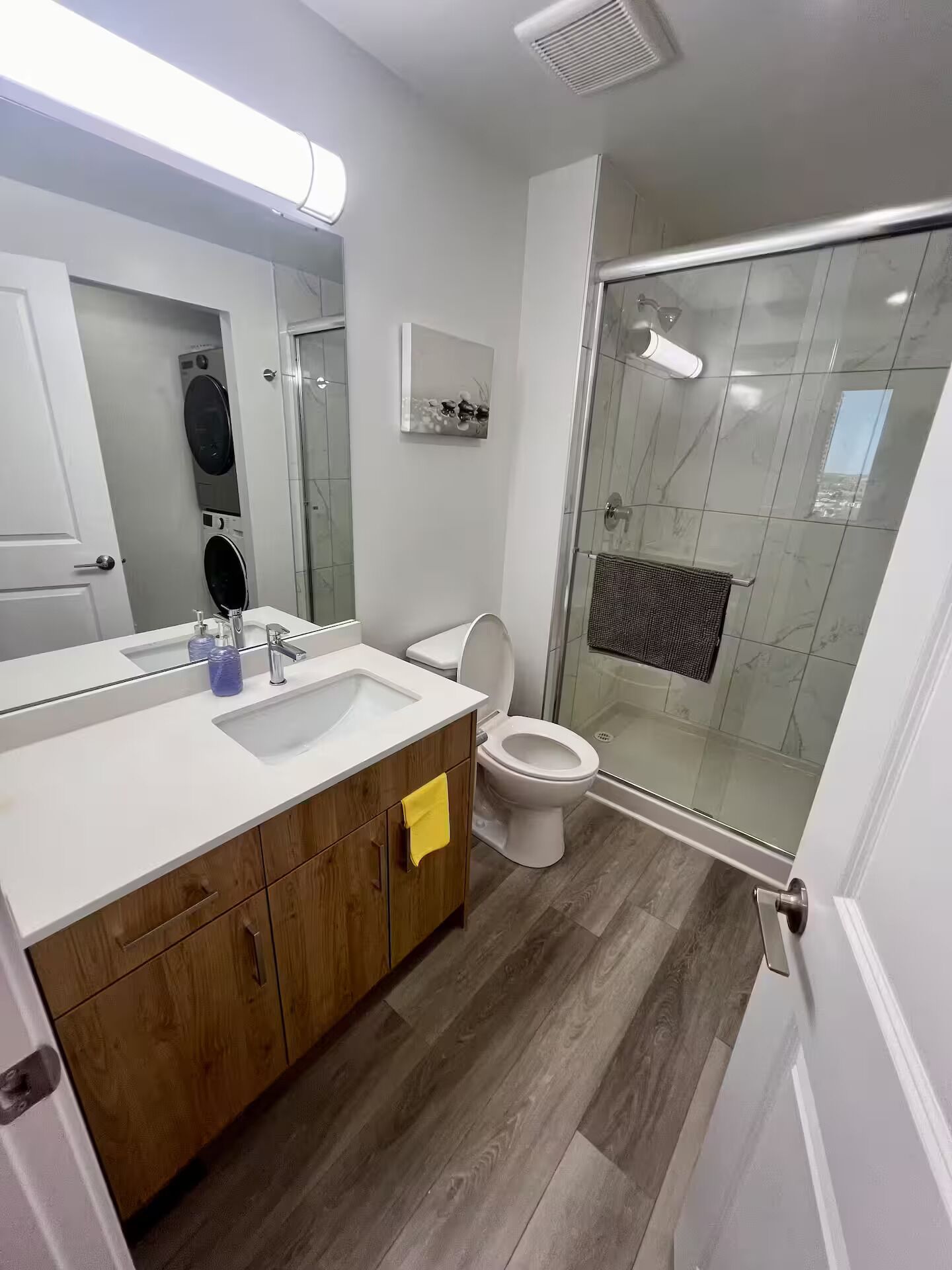 Shower, hair dryer, soap