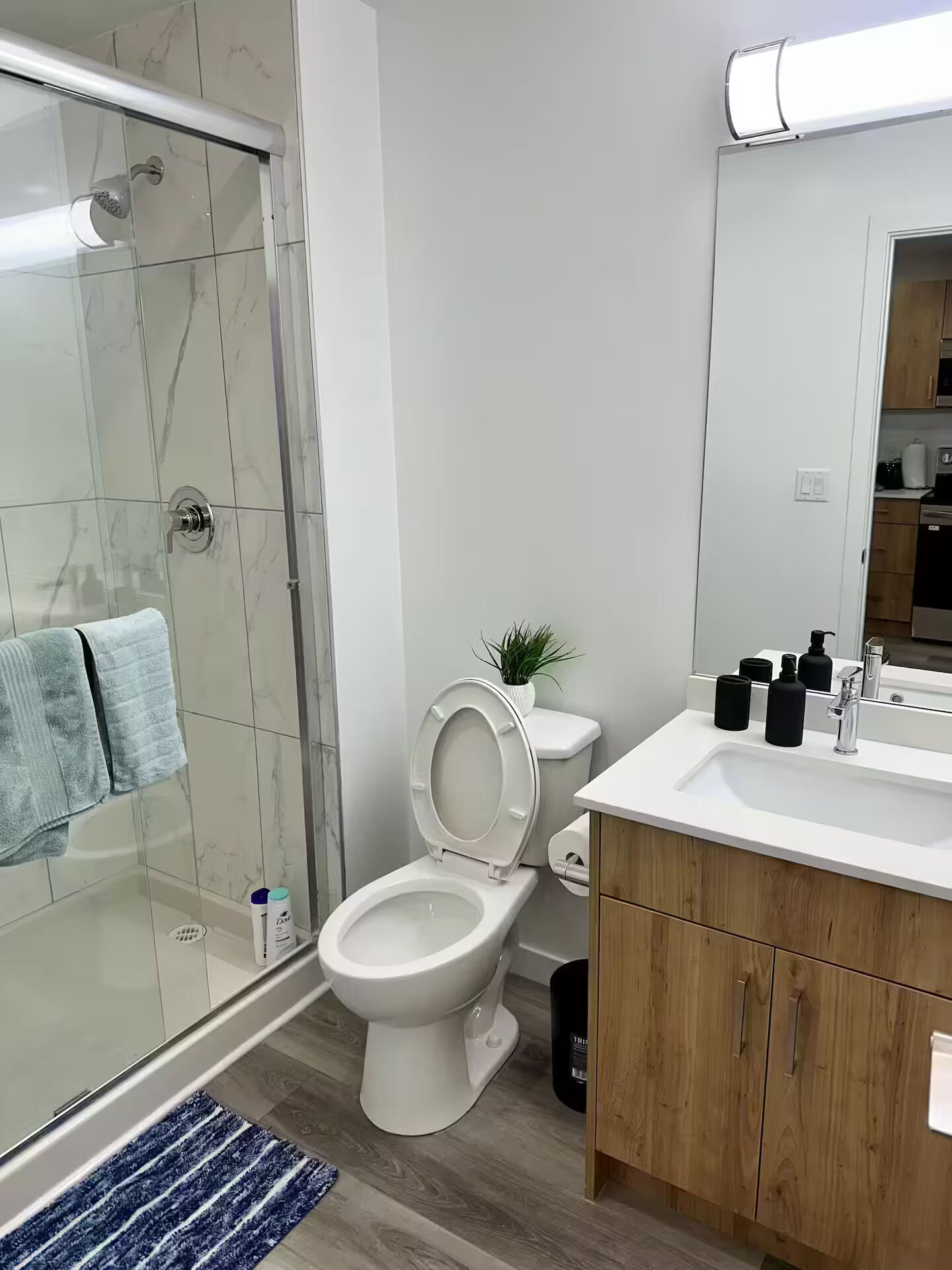 Shower, hair dryer, soap