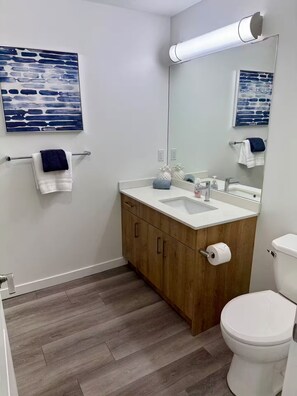 Shower, hair dryer, soap
