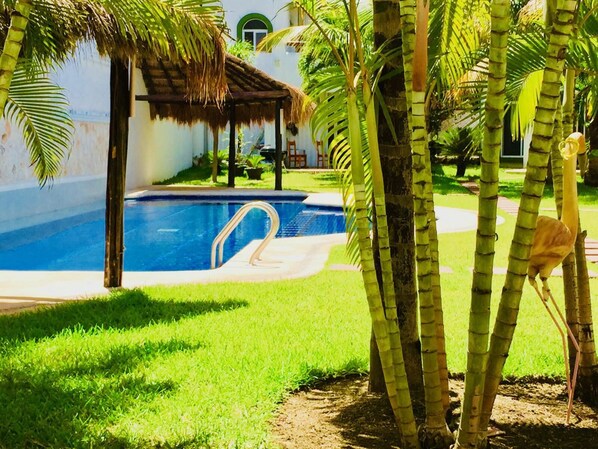 A swimming pool surrounded by palm trees and a small gazebo.