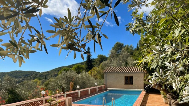 Une piscine dotée d’une terrasse carrelée, entourée d’oliviers et bordée d’un petit bâtiment.