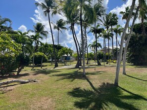 A grassy area with palm trees and a building in the background. - Appartement vue Mer à coté du Golf (Saint-François)