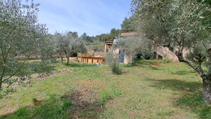 An outdoor area with olive trees, a wooden structure, and a building with a blue door.