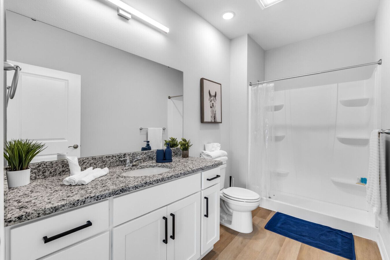 Articles de toilette gratuits, sèche-cheveux, serviettes fournies