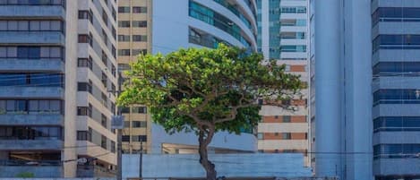 Majoituspaikan julkisivu