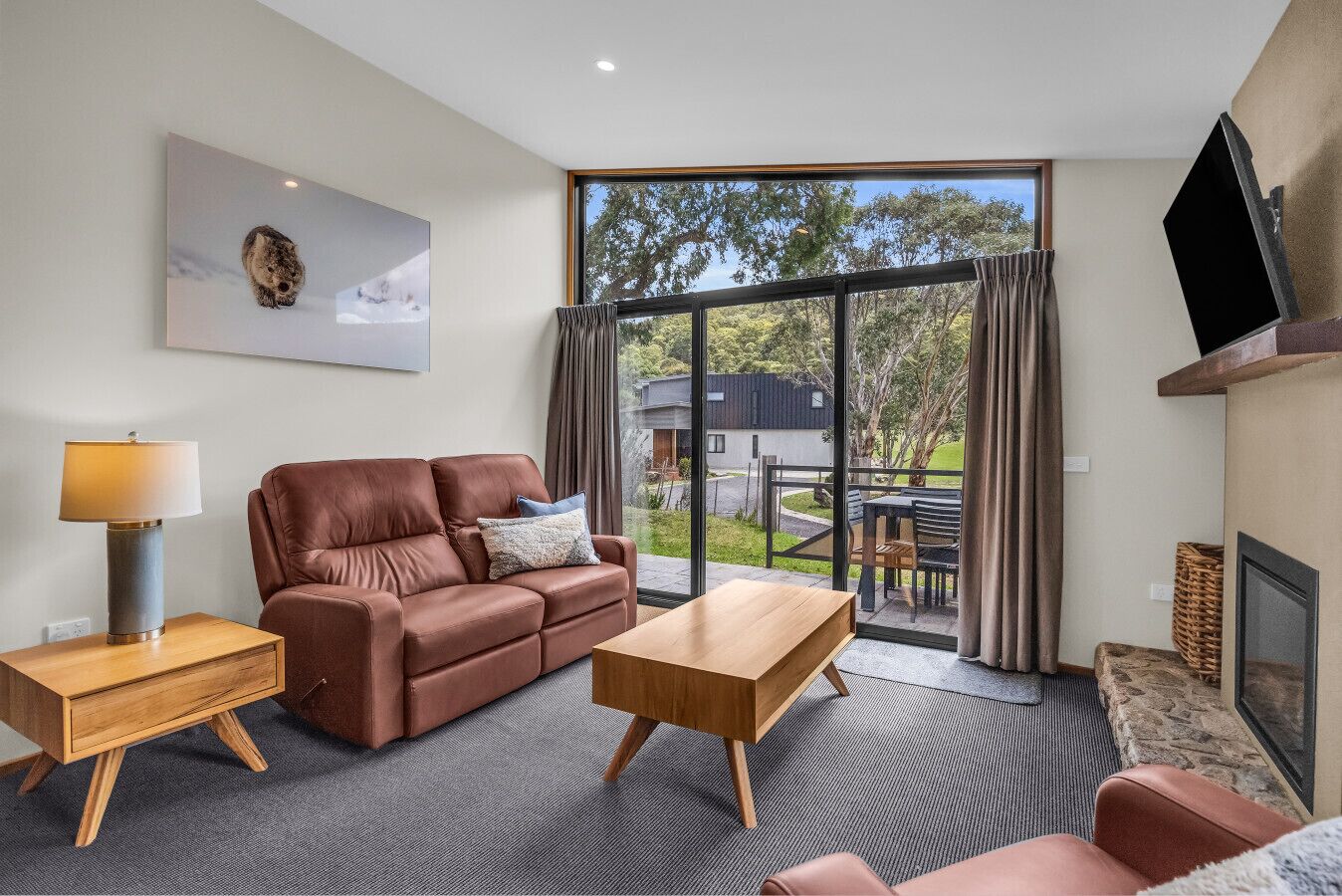 Televisión, chimenea