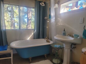 Hair dryer, towels, soap, toilet paper - ‘Lovebirds Cabin’ Enchanting Historic Idyllwild Cabin Peaceful, Romantic Retreat (Idyllwild-Pine Cove)