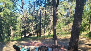 Ett skogsområde med en stenlagd uteplats, två gröna Adirondack-stolar och en mönstrad matta.
