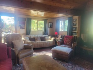 TV - ‘Lovebirds Cabin’ Enchanting Historic Idyllwild Cabin Peaceful, Romantic Retreat (Idyllwild-Pine Cove)