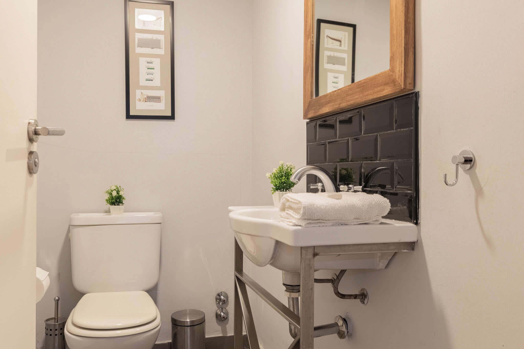 Ducha, secador de pelo y toallas