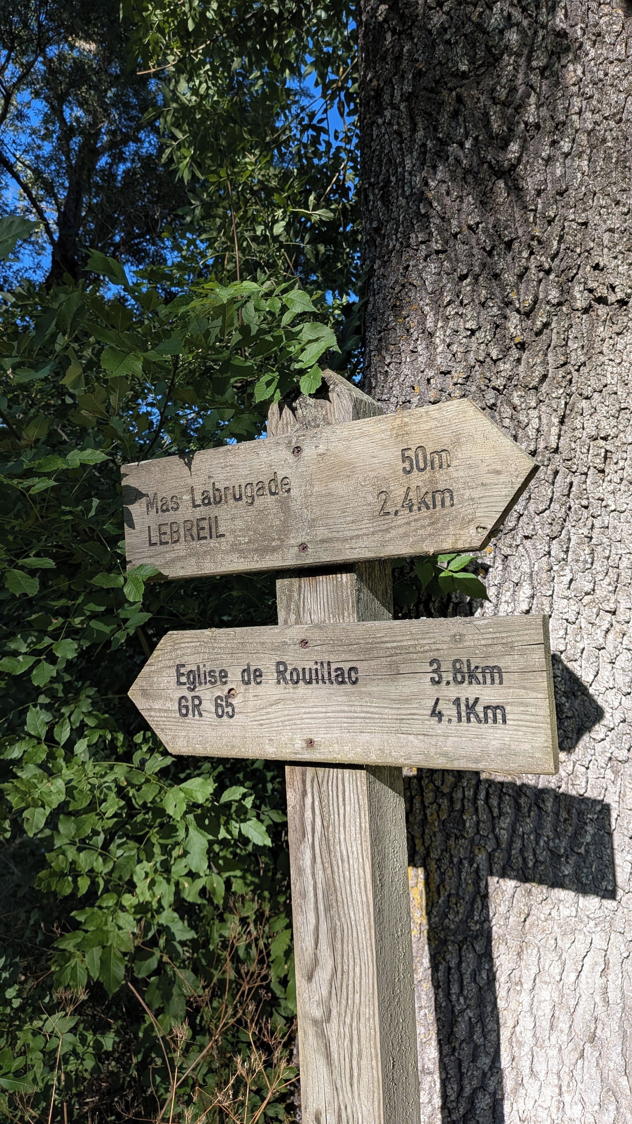 Hiking