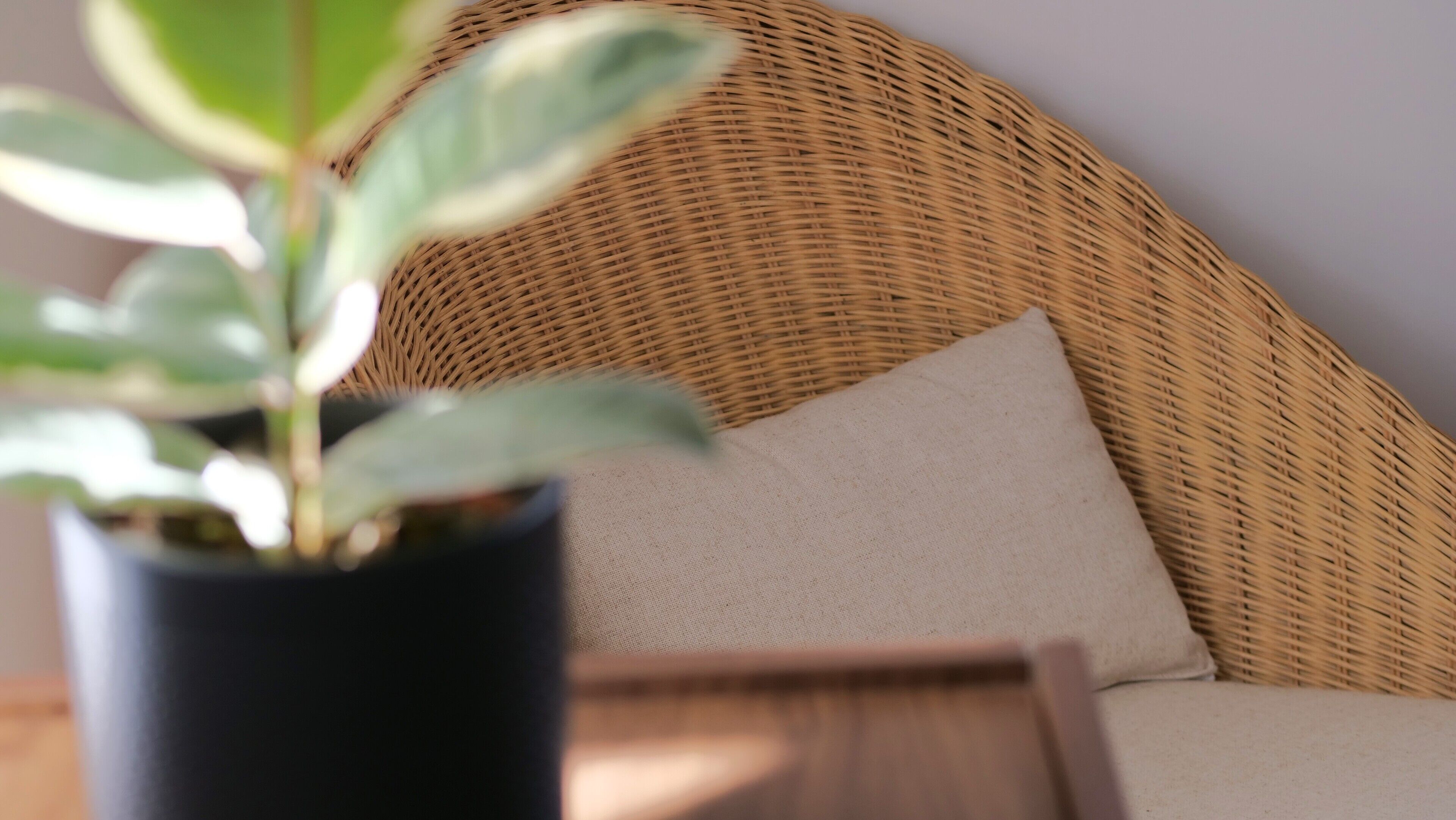 A wicker sofa with a cushion, a potted plant, and a wooden table.