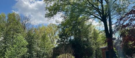 A well-maintained garden with a variety of trees and shrubs, a clear blue sky, and a small brick building.