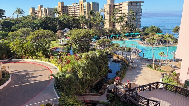 Un resort con piscina, exuberante vegetación y vistas al océano.