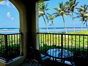 Property grounds - A Turtle Cove! Enjoy Paradise, walking distance to the Caribbean Sea! (Christiansted)