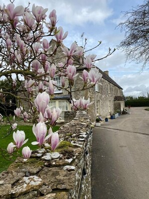 Property grounds - Quiet alternative to a hotel - Furzen Farmhouse (Gloucestershire)