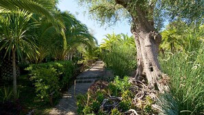 A pathway surrounded by lush greenery and a large tree. - Holiday flat studio apartment with air conditioning (Castiglione della Pescaia)