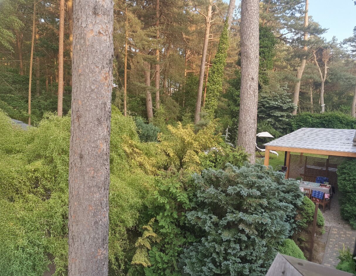 Overnattingsstedets uteområder