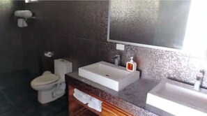 Regadera, secadora de cabello, toallas, jabón 