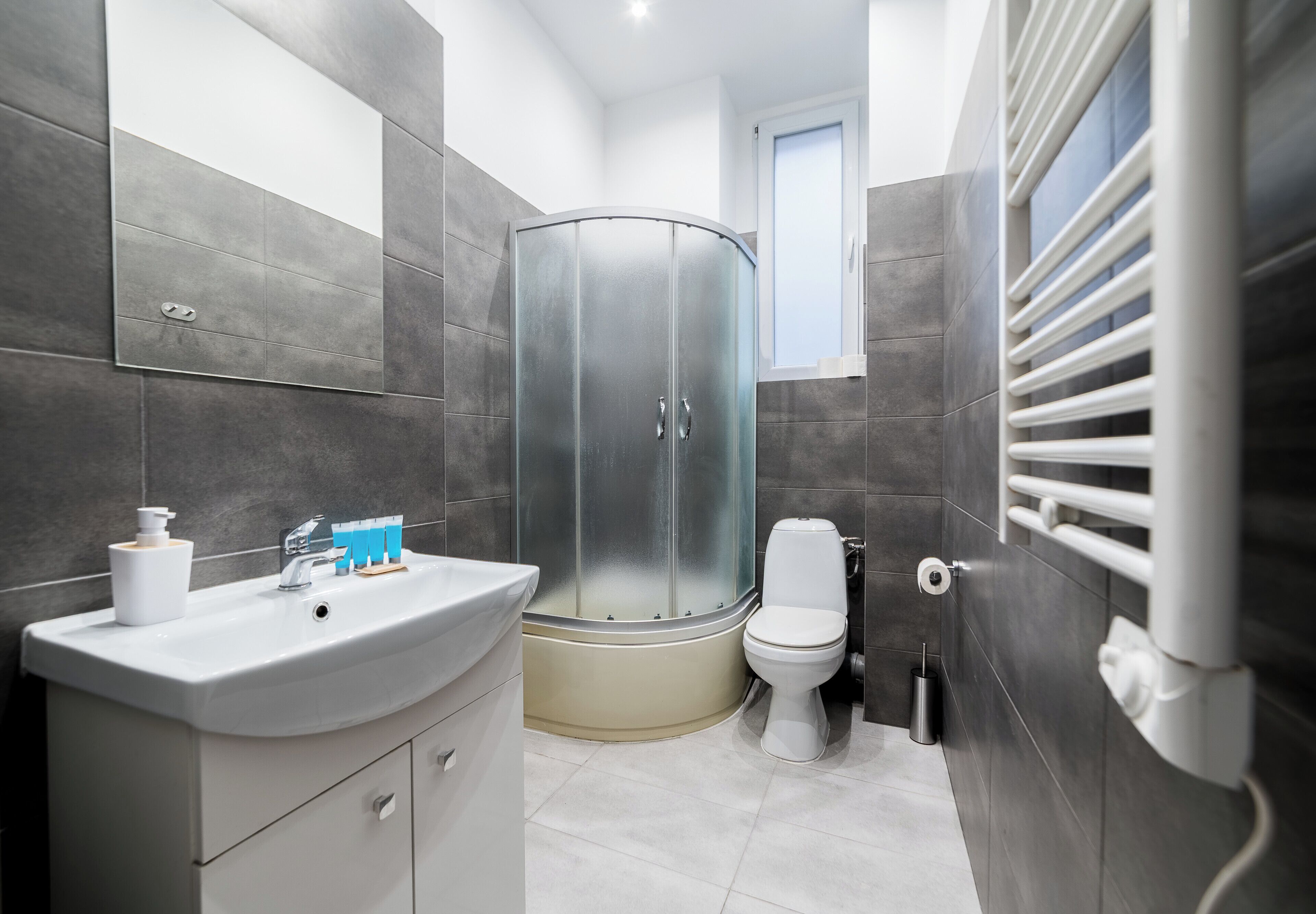 Shower, hair dryer, towels