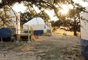 Property grounds - Glamping Getaway Yurt with A/C in Johnson City (Johnson City)