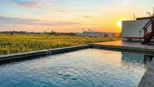 Una piscina con vista a un campo de arroz y al atardecer.