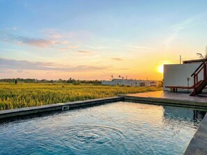 Una piscina con vista a un campo de arroz y al atardecer.