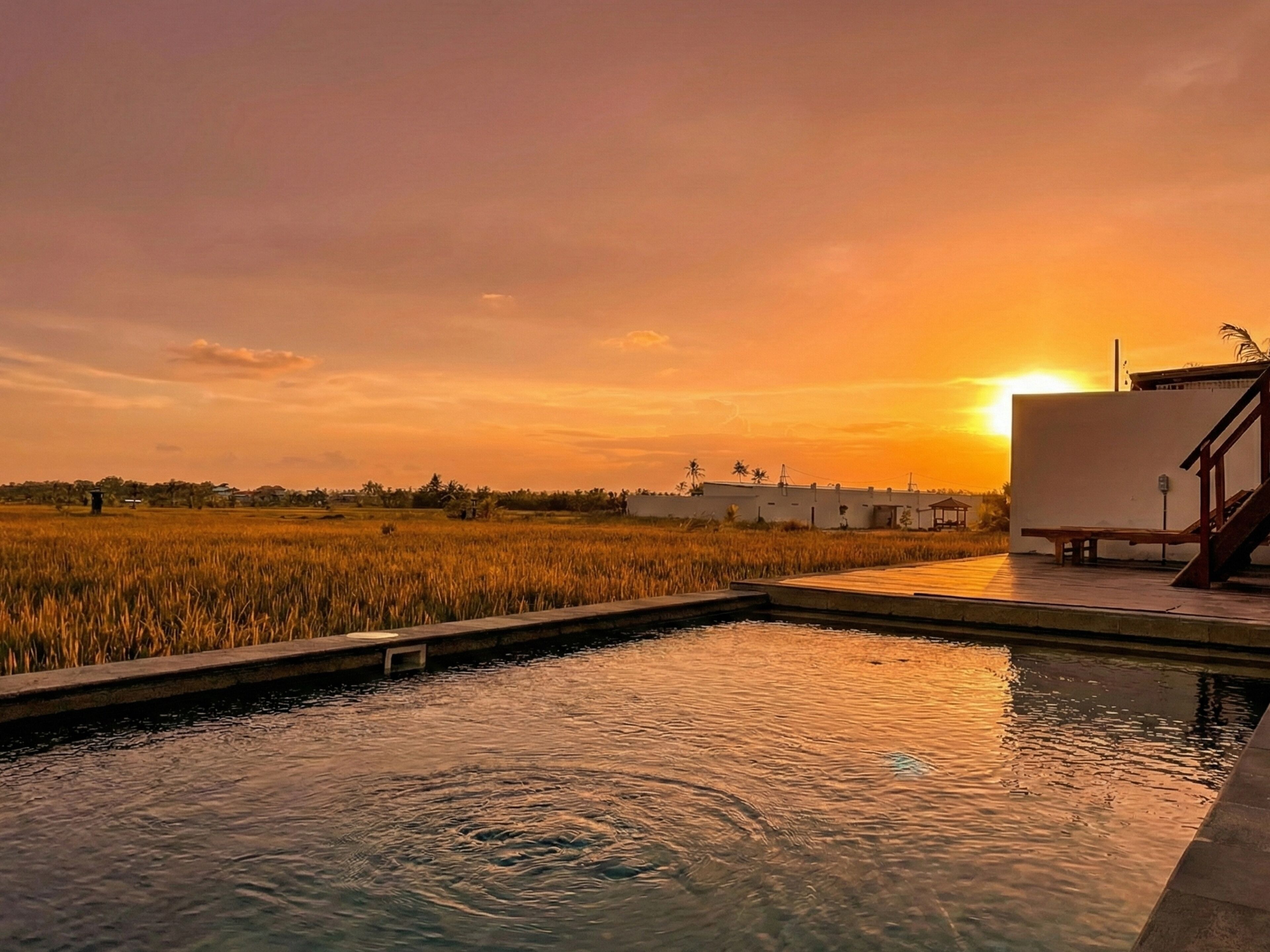 A swimming pool with a view of a sunset over a rice field and a building in the background.