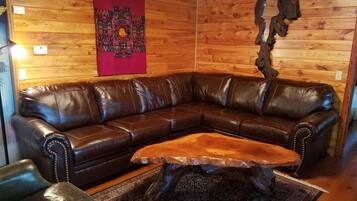 Smart TV, fireplace, DVD player, books