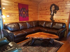 Smart TV, fireplace, DVD player, books