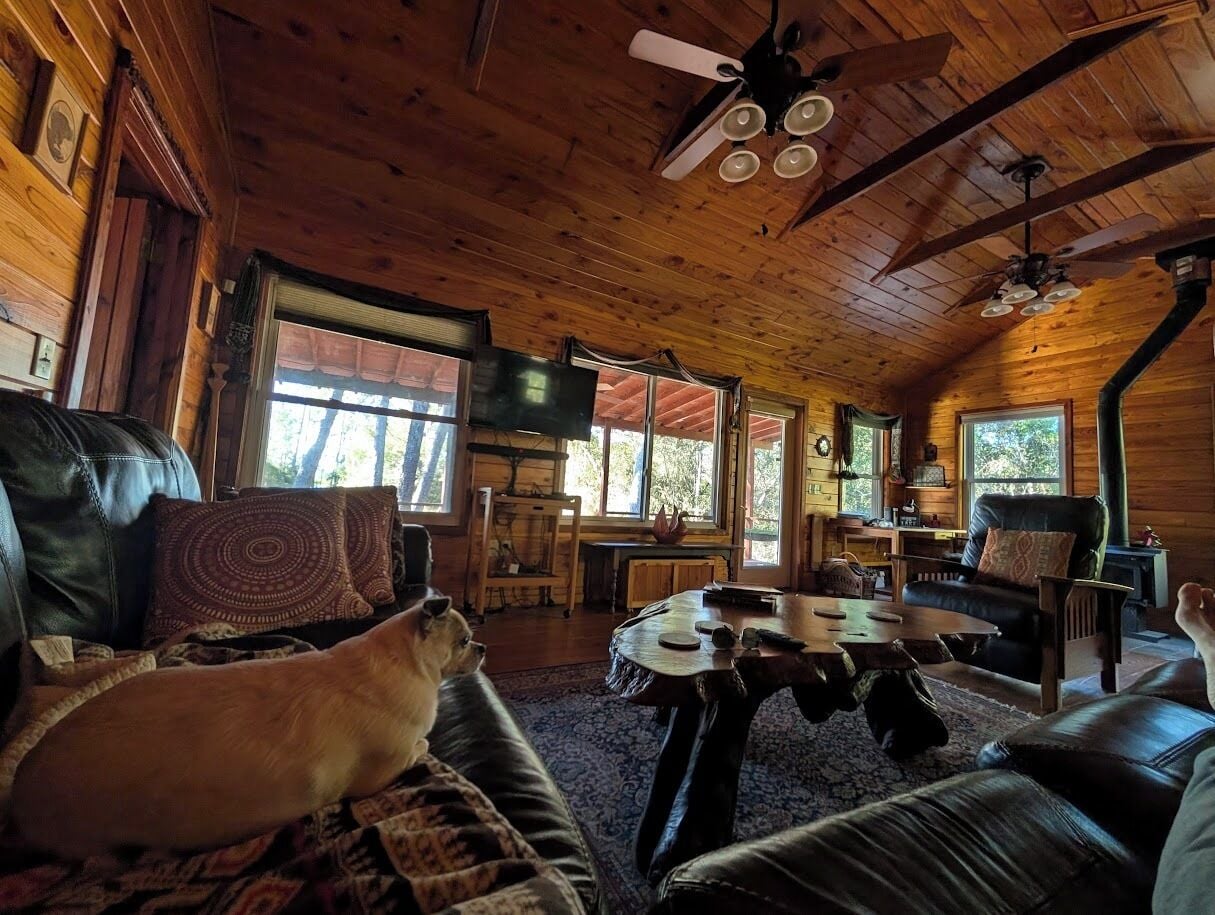 Smart TV, fireplace, DVD player, books