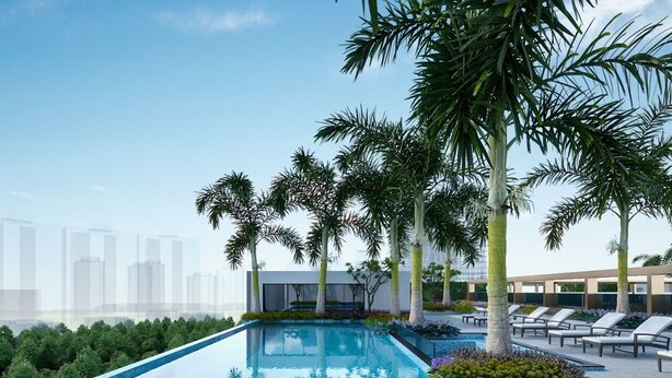 A modern outdoor swimming pool with palm trees and lounge chairs.