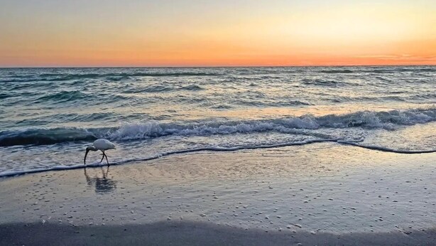 Eine Strandansicht mit Wellen im Sonnenuntergang.