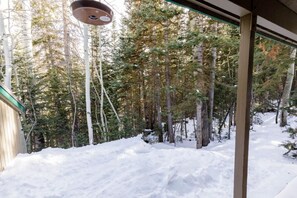 Schneeiger Waldblick von einem Gebäude mit Fenster und einer hängenden Lampe.