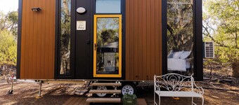 BushLights Glade by Tiny Away