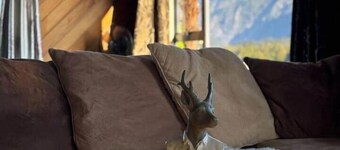 Glacier Barn House Franz Josef Glacier