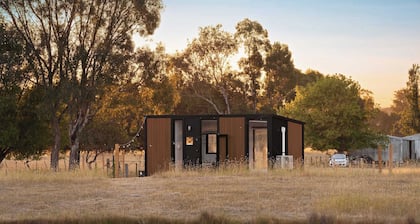 Billy Button by Tiny Away