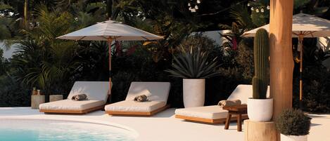 Outdoor pool, sun loungers