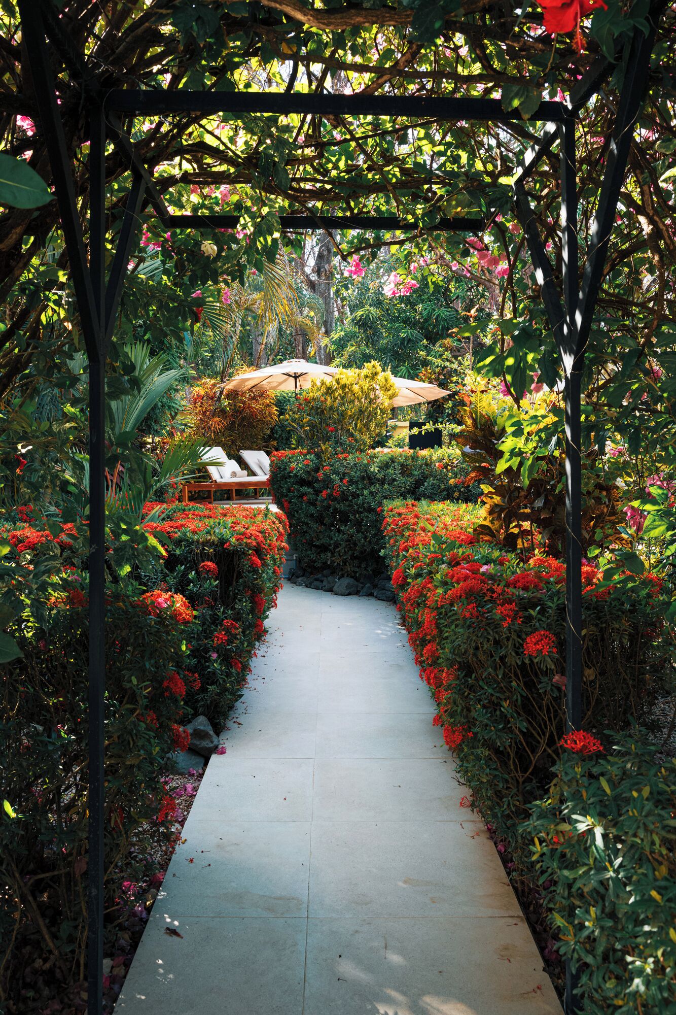 Luxury Villa, 1 Bedroom | Garden view