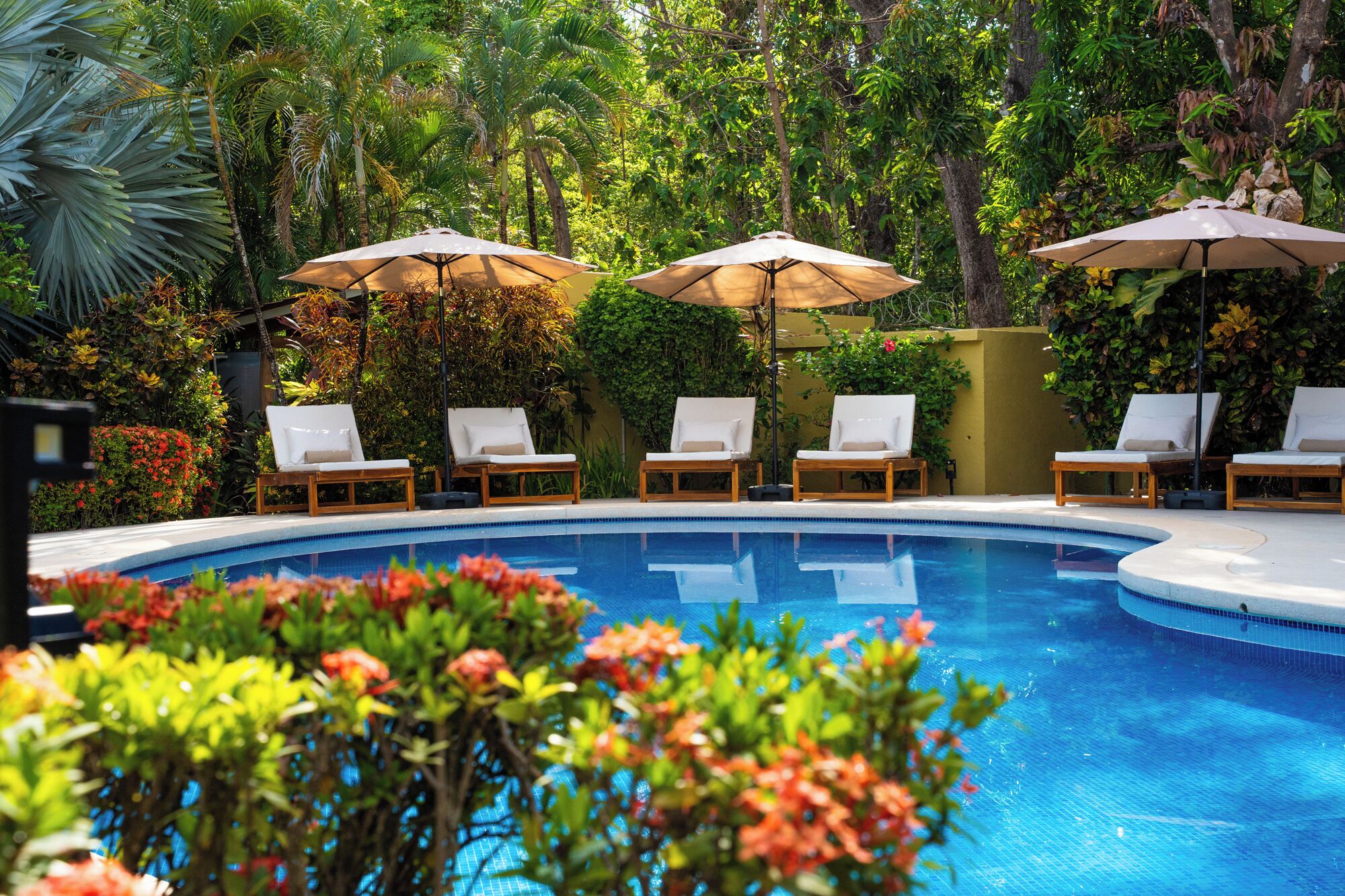 Outdoor pool, pool loungers