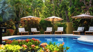 Un espace aménagé au bord de la piscine, avec des chaises longues et des parasols, entouré d’une végétation luxuriante.