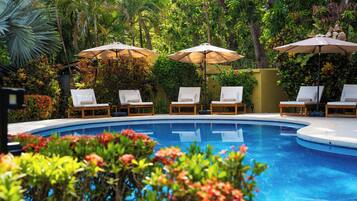 Outdoor pool, pool loungers