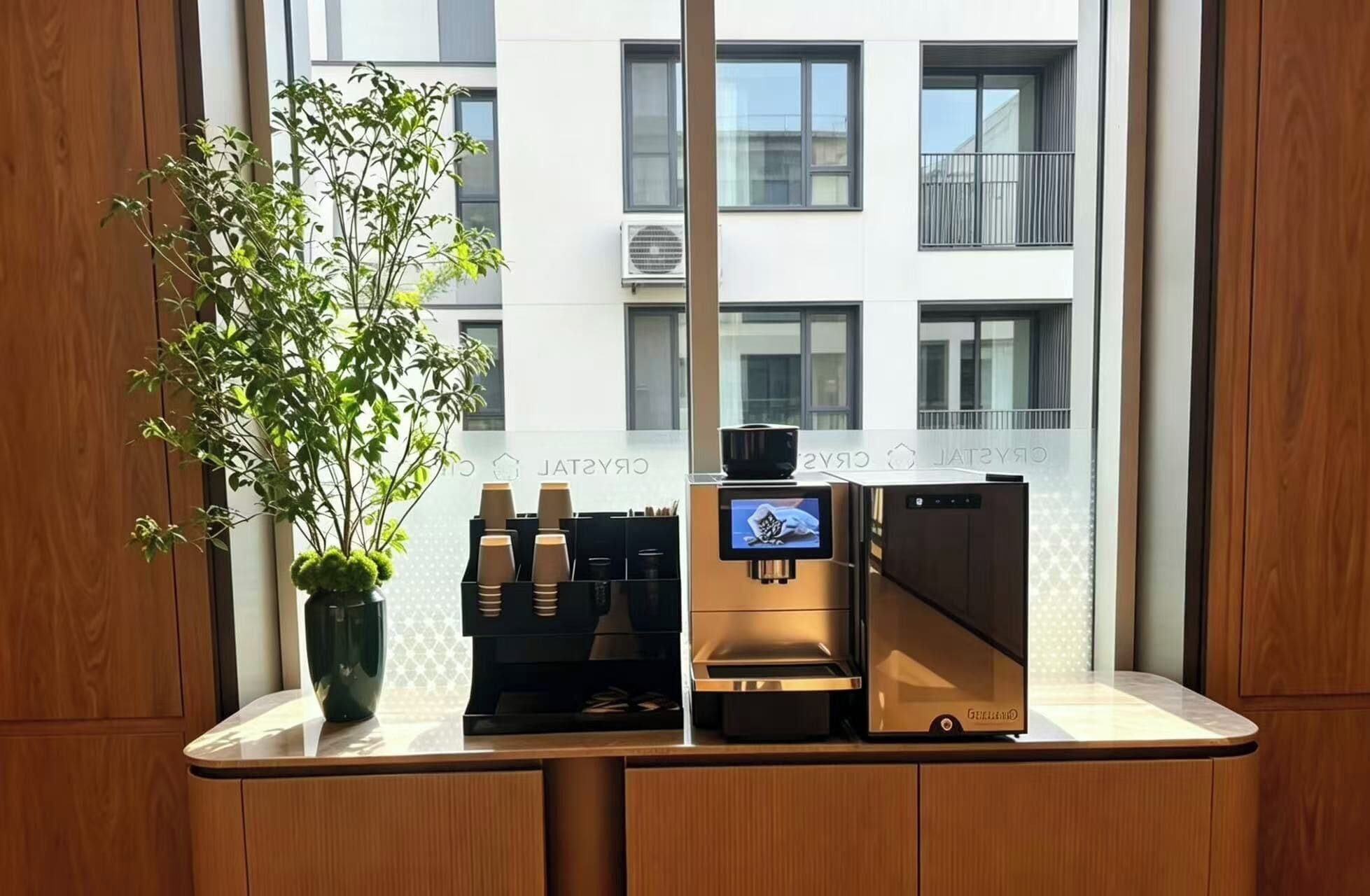 A coffee machine and a potted plant on a counter by a window.