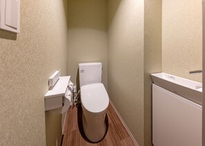 Combined shower/bathtub, free toiletries, hair dryer, slippers