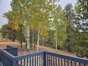 Property grounds - Scenic Dome Retreat: Luxury Bath & Mountain Views (Cripple Creek)