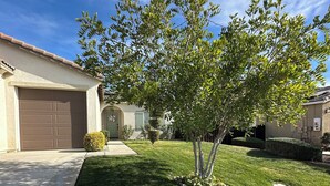 A residential area with a well-maintained lawn, a tree, and a garage door. - Quiet Modern Home Spacious & Work-Friendly (Beaumont)