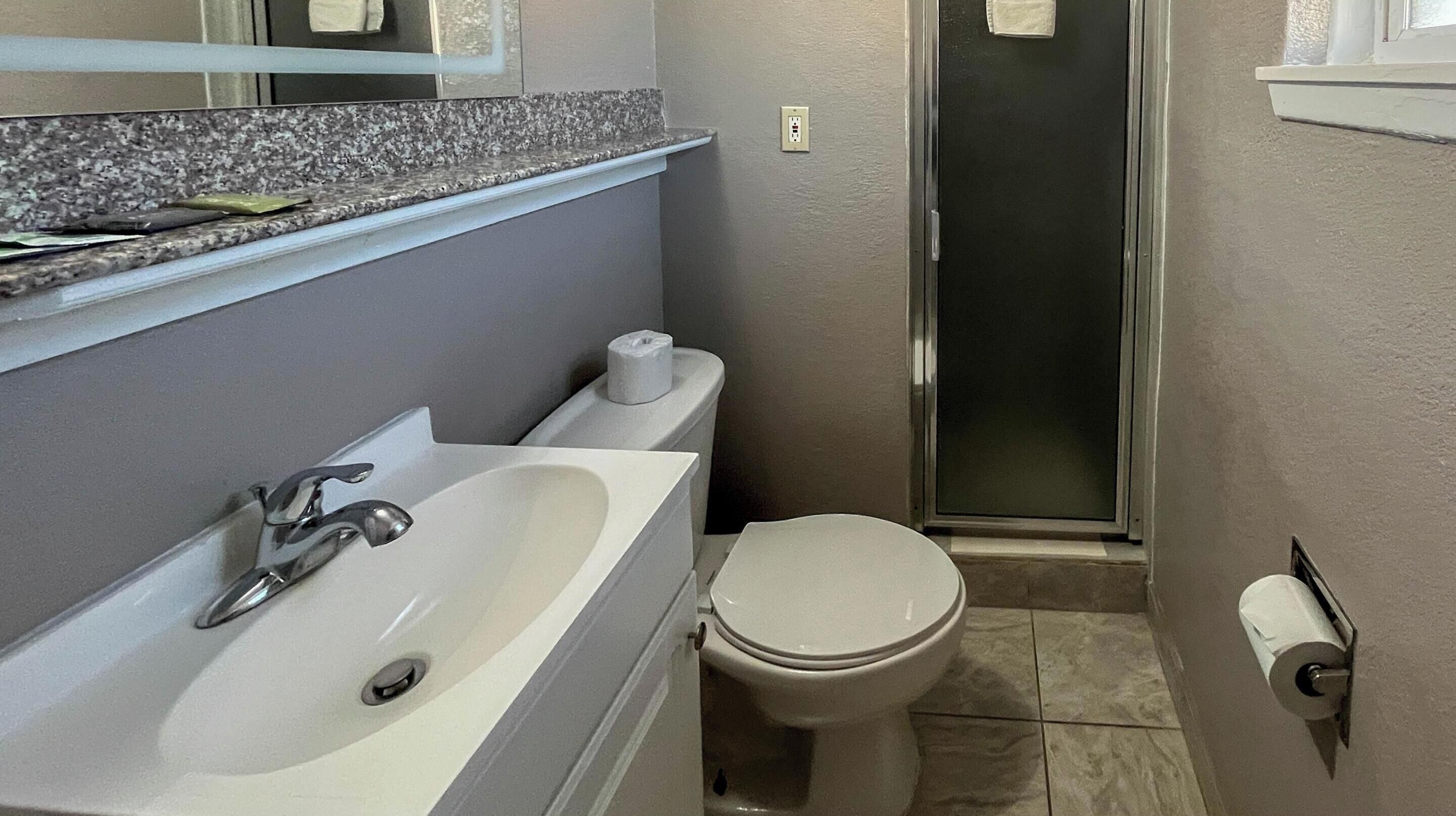 A bathroom with a sink, toilet, and shower.