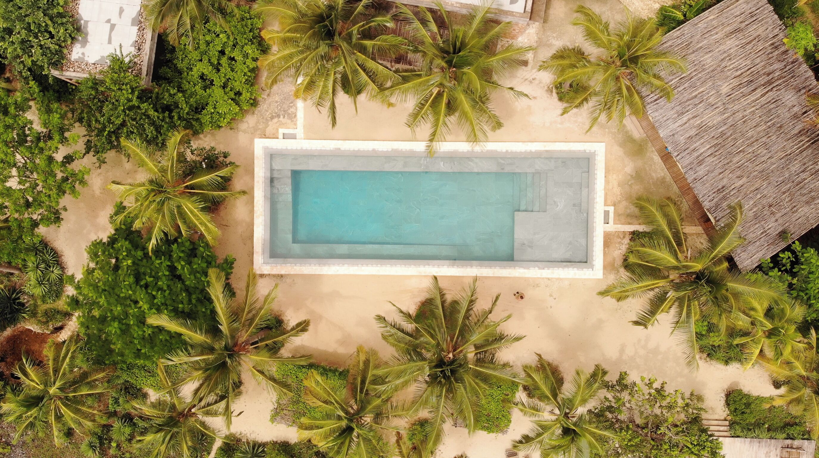 Vista aérea de una piscina rectangular rodeada de palmeras y vegetación.
