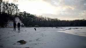 Une plage avec une personne et un chien, une falaise et une forêt en arrière-plan.