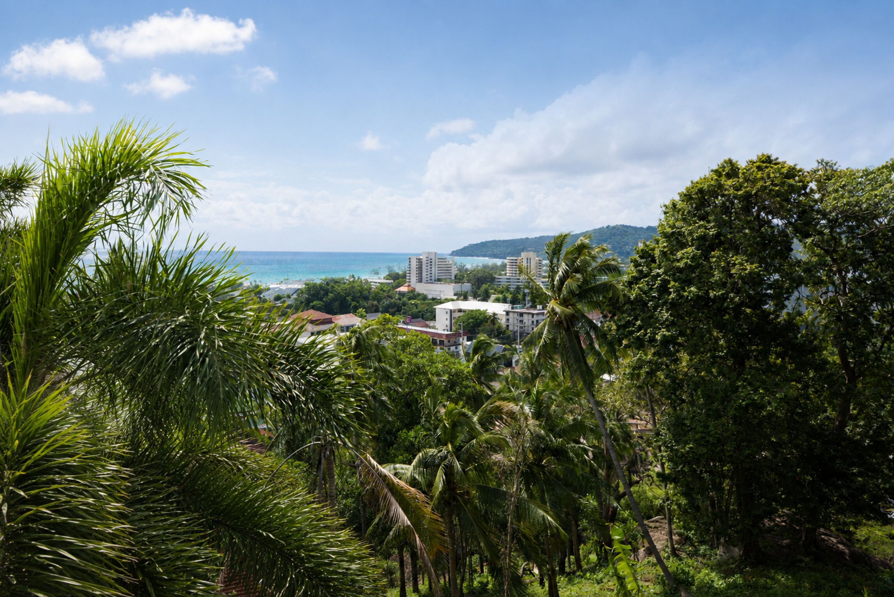 A coastal view with buildings, palm trees, and a clear sky.